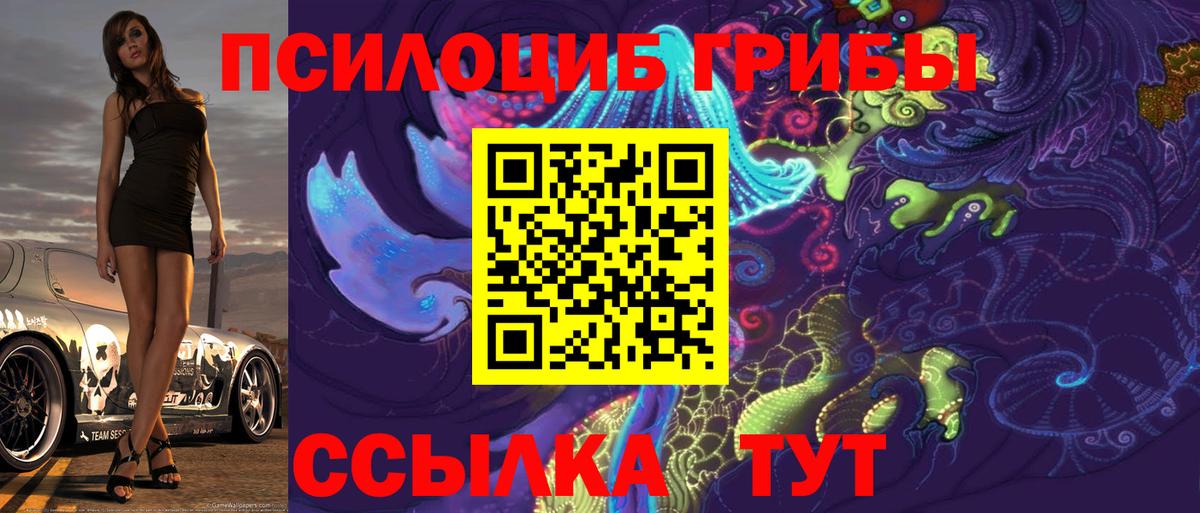 Галлюциногенные грибы мицелий Буйнакск