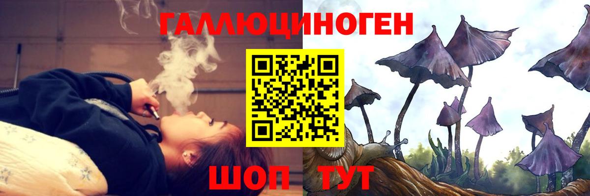 Галлюциногенные грибы GOLDEN TEACHER  Вход с VPN  Буйнакск 